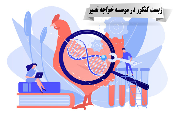 زیست کنکور در موسسه خواجه نصیر